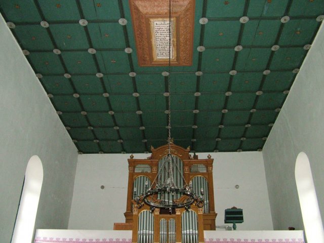 Tarpa 23